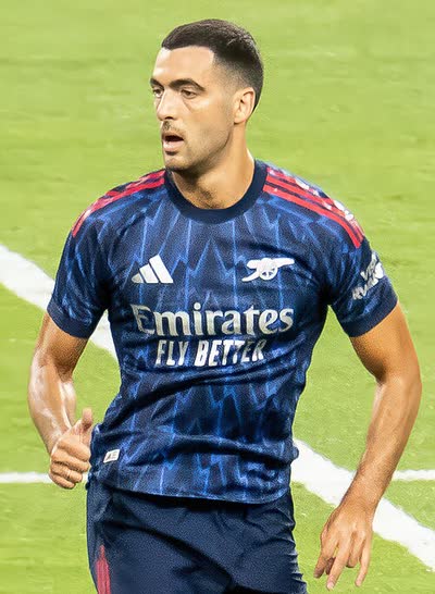 梅里诺